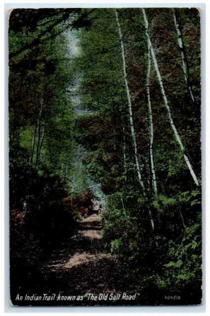 1916 An Indian Trail Known As The Old Salt Road Ocean Park Maine ME Postcard