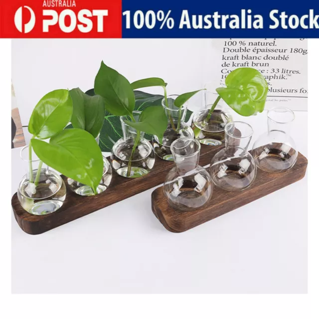 Plant Propagation Station Desktop Bulb Glass Vase Wooden Stand Hydroponics Decor