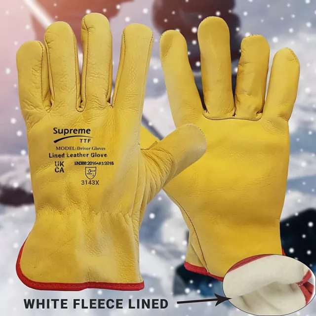 Thermal Winter Warm Leather Work Gloves Freezer Driver Cold Safety Gardening