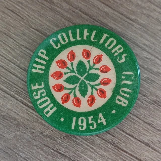 Autres, Pins, Collections - PicClick FR