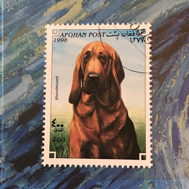 Bloodhound Dog Stamp Dogs Collectible Dog24