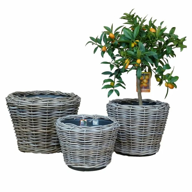PFLANZKÜBEL MIT EINSATZ *drypot* rund Blumenkübel Korb Rattankorb