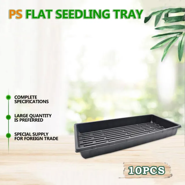 Cilantro Plants Rectangular Vegetable Seedling Tray For Leaf Inserting And
