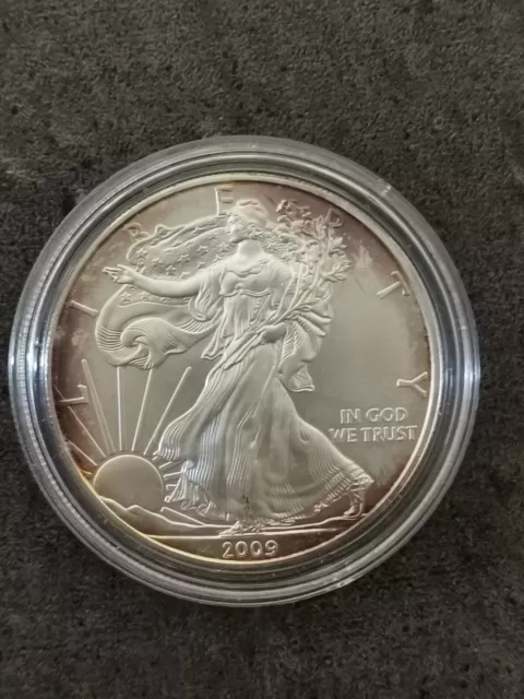 1 Dollar American Silver Eagle 1 Oz 2009 Argent Usa / Silver / Capsule