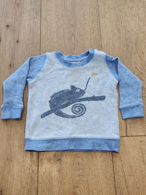 Seed Baby Size 3-6 Months 00 Chameleon Lizard Sweater Jumper Boy Winter Pullover