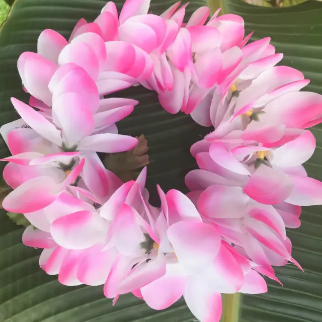 Hawaiian Silk Head Lei - Soft Pink Plumeria Flower Headband - Designed In Hawaii