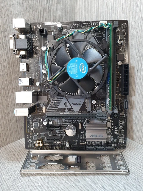INTEL PENTIUM G5400 4GB DDR4 Asus Prime H310M-A Mainboard