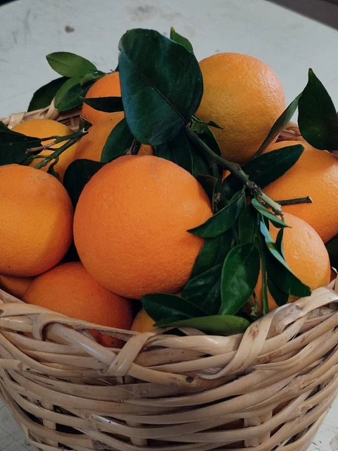 ARANCE DI SICILIA NAVEL SPREMUTA e MARMELLATA 1°SCELTA 28 KG NETTI ETNA