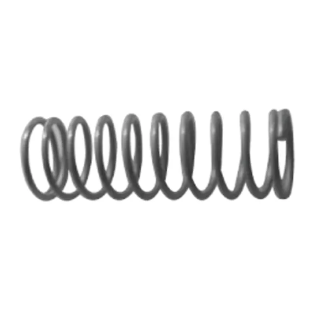 Valve Springs All Models(2pcs)