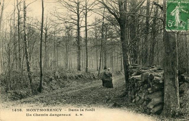 MONTMORENCY LOT OF 2 cards with the forest dangerous path and donkeys