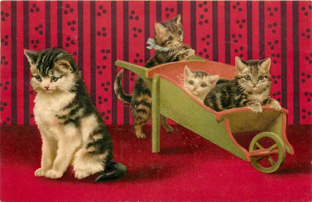 Embossed Postcard 202 Helena Maguire Cat & Kittens in Wheelbarrow, Red Wallpaper