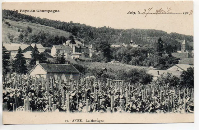 AVIZE - Marne - CPA 51 - In the Pays du Champagne - the mountain - the vines