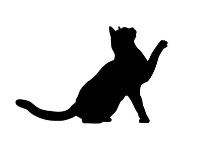 Sticker Animal Chat Qui Leve La Patte 18 Coloris Disponibles Chat022 Eur 2 90 Picclick Fr