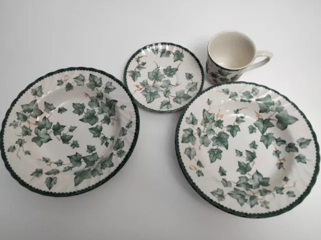 BHS Country Vine 4 Pieces: 2 x Rimmed Soup/Cereal Bowls 9"/1 x Cup and Saucer