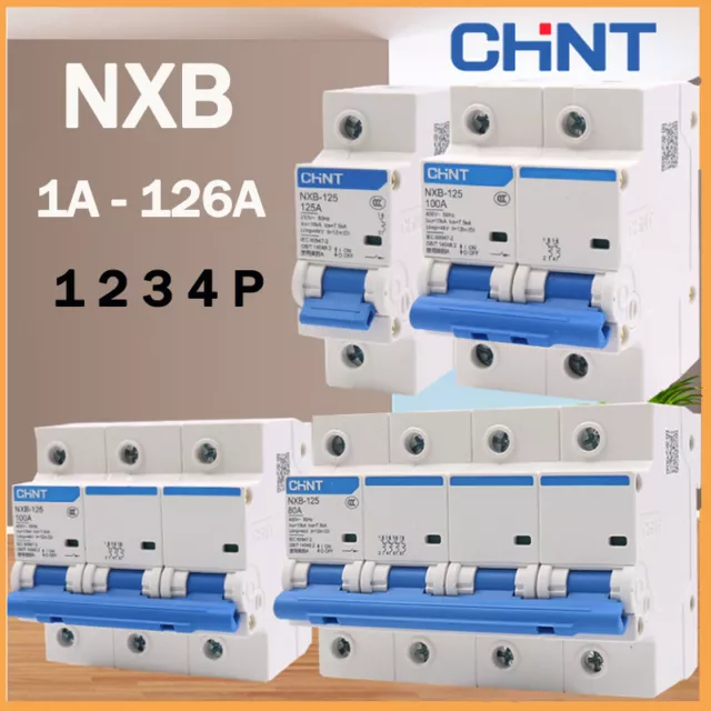 CHINT MCB NXB Circuit Breaker 1/2/3/4P 1A/2/3/4/6/10/16/20/25/32A to 125A Type C