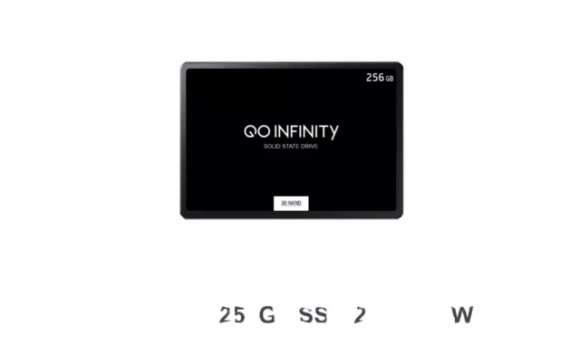 GO INFINITY 256 Go 2,5 SATA III SSD interne (SKC600/256G) EUR 29,99 -  PicClick FR