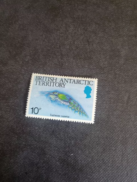 Stamps British Antarctic Territory Scott #110A never hinged