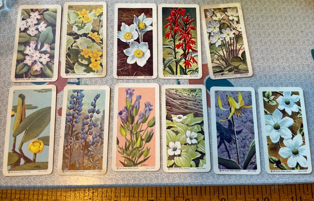 Vintage Red Rose Tea Wild Flowers Of N. America Trading Cards Lot Of 11 1961 G