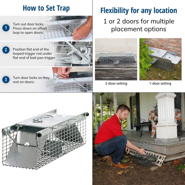 Small 2-door Professional Live Animal Cage Trap For Rat, Squirrel, Chipmunk, A