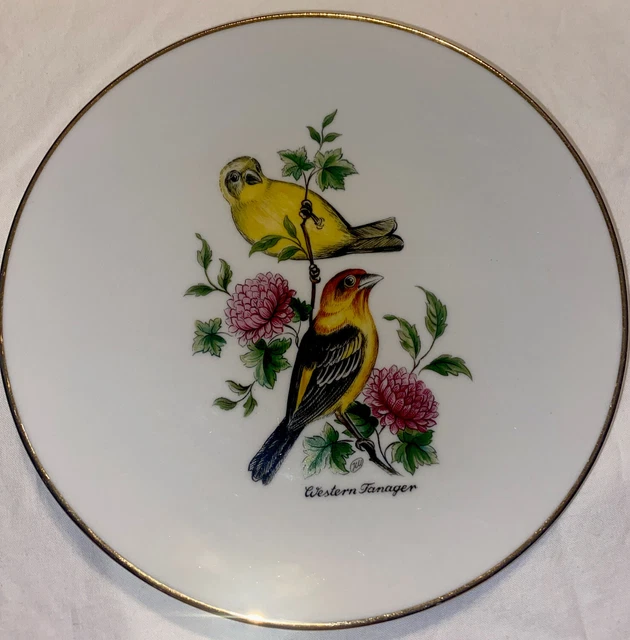 Vintage Bareuther Waldsassen Bavaria Germany Plate 8" Western Tanager Bird