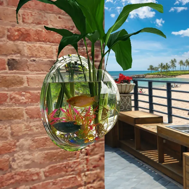 Clear Wall Mounted Fish Bowl Aquarium fits Plant Flower Tank  Goldfish Home 2
