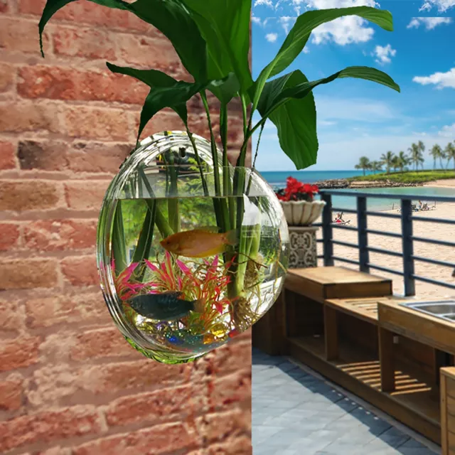 Wall Mounted Fish Bowl Aquarium Tank  Goldfish Plant Flower Home Art Decor 2