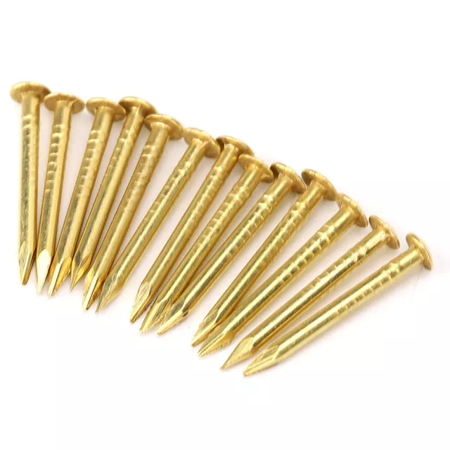 (18mm Length) 100Pcs Brass Escutcheon Tacks Round Head Brass Brad Nail