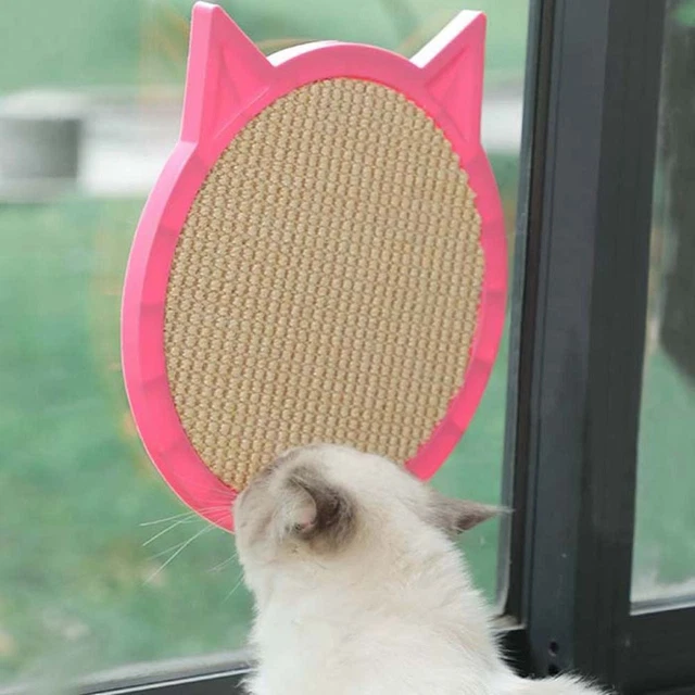 Exercising Cat Scratching Board Cat Toys Ball Cat Scratcher Toy Pet Supplies