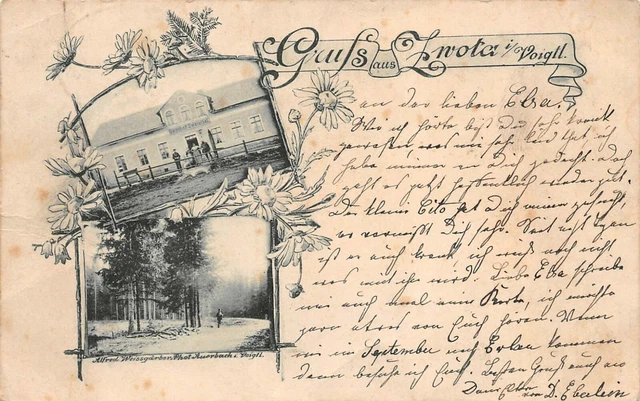 Gruß aus Zwota mit Gasthof Zwoterthal Vogltand Sachsen Postkarte AK 1908