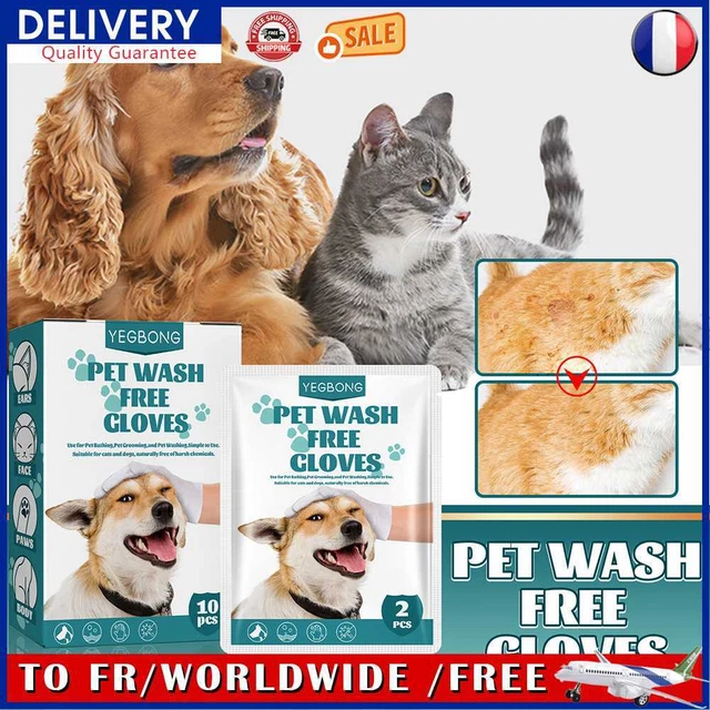 No Rinse Cat Dogs Cleaning Gloves Disposable Pet Stain Remover Wet Wipes (10pcs)