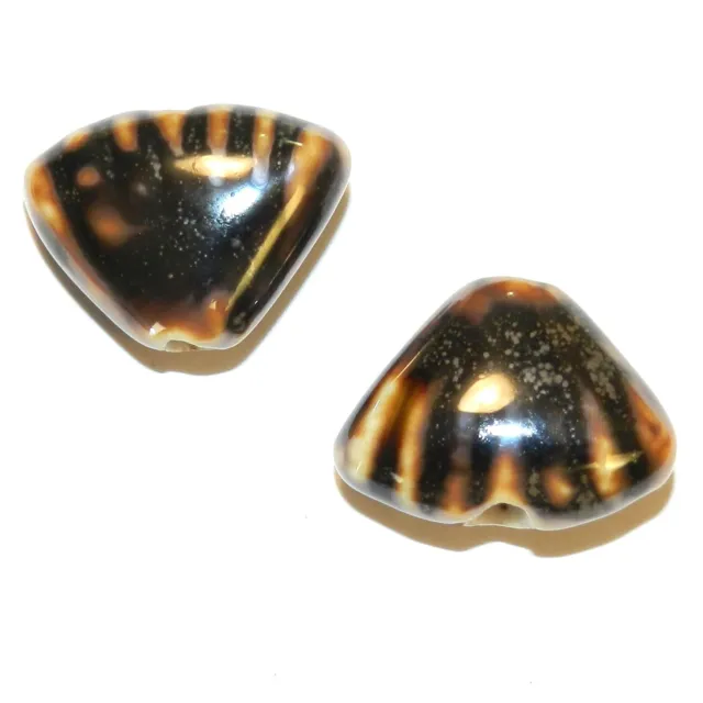 CPC271 Multi-tone Brown 23mm Pufted Corrugated Shell Glazed Porcelain Bead 10pc