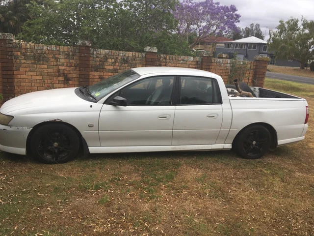 2005 vz s crewman
