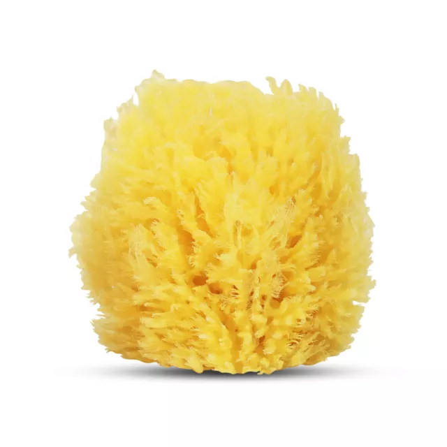 Baby Buddy Natural Baby Bath Sponge 4in Soft Grass Sea Sponge Biodegradable