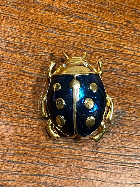 Broche Insecte Scarabée Art Déco – Celluloïd Vintage, Bijou Fantaisie
