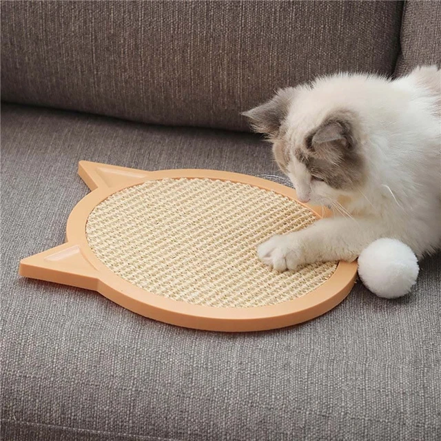 Exercising Cat Toys Ball Pet Supplies Cat Scratching Board Cat Scratcher Toy