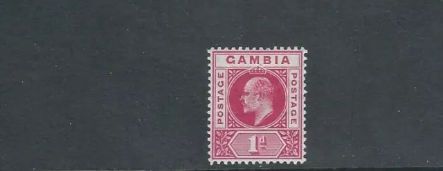 Gambia 1904-06 Erstem 1d Selten Verbeulte Rahmen Auswahl (Gibbons 58a) VF Mlh Zx