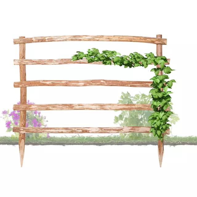 Support pour Plantes Grimpantes Bois Jardin Treillis Fleurs Treillage Arc Rose