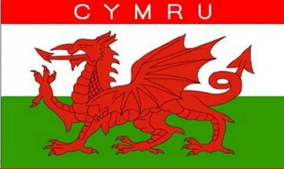 3' x 2' Cymru Wales Flag Welsh Red Dragon St Davids Day Flags Banner