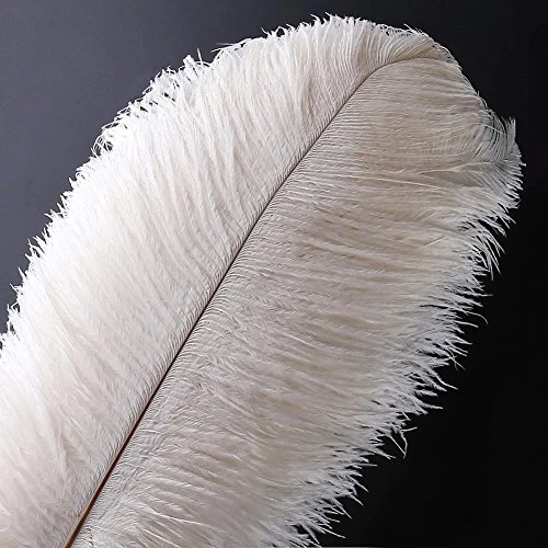 VoilaLove 10 pcs Plume d'Autruche Naturel Artisanat 12-14 Pouce 30-35 cm Plum...
