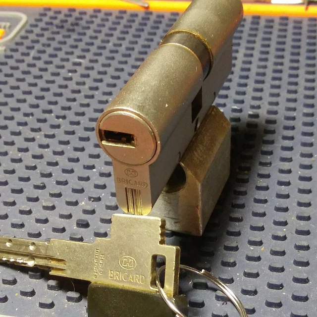 FRENCH BRICARD DIMPLE Lock Double Euro Cylinder W/Interactive Trap Pin