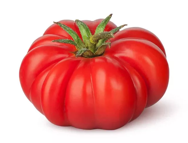 40 Giant Delicious Tomato Seeds Beefsteak.Free Postage ,Huge Fruit.