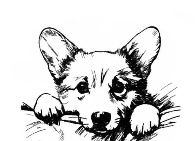 Corgi Puppy Dog Embroidered Personalized Tee Shirt