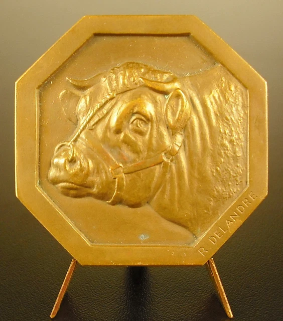 Médaille Robert Delandre - Art Déco Aviation - Ailes Françaises Montélimar - Bronze
