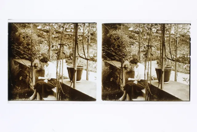 Dans le jardin Femme Chat France Photo Stereo L1n15 Plaque de verre Vintage