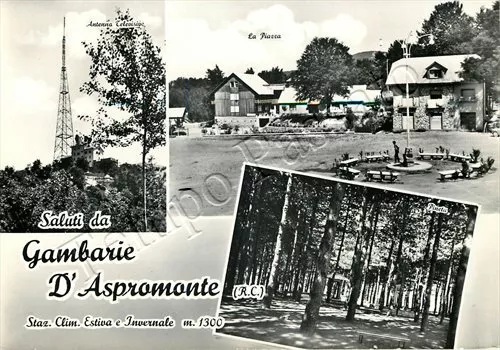 Cartolina di Gambarie d'Aspromonte, antenna e pineta - Reggio Calabria, 1963