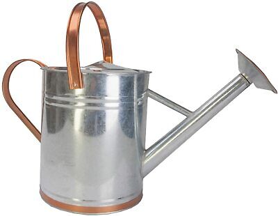 Panacea Products Galvanized Silver Watering Can, 2 Gallon