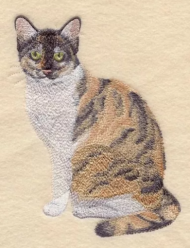 Embroidered Sweatshirt - Tortoiseshell Cat C7959 Sizes S - XXL