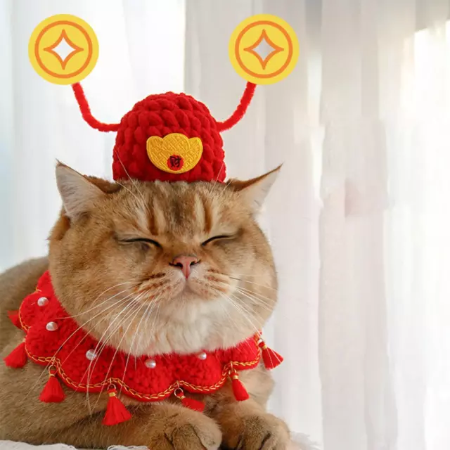 Pet Costume Hat Vêtements Chat Chien Chapeaux Pour Petits Chiens Nouvel An