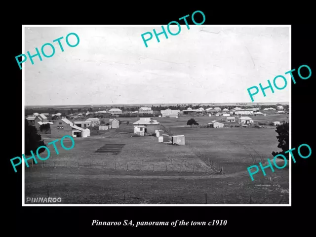 OLD LARGE HISTORIC PHOTO OF PINNAROO SA PANORAMA OF THE TOWN c1910