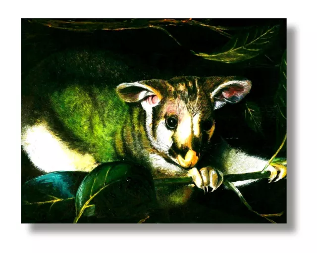 SHY POSSUM Art Print on Canvas Wall Art 8"x10" - Ready To Be Framed.